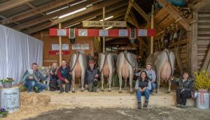 Vogler Beat Sachseln Blooming BRUNA 80 Pkt